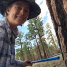 Paige Kouba cores a pine in the Eastern Sierras